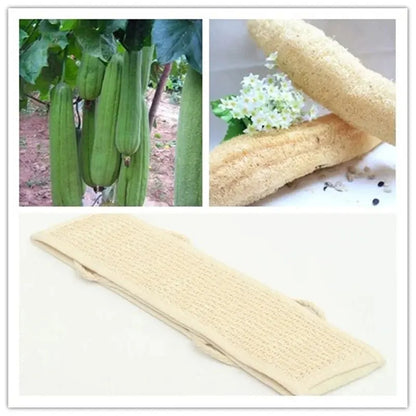 Loofah exfoliant doux naturel, outil de nettoyage de la peau du corps, bain-douche unisexe, Massage Spa, épurateur, éponge, sangle arrière, 1 pièce