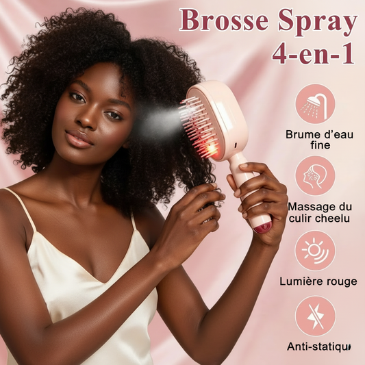 Brosse Spray 4-en-1
